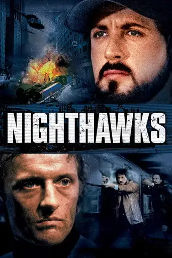 Ночные ястребы