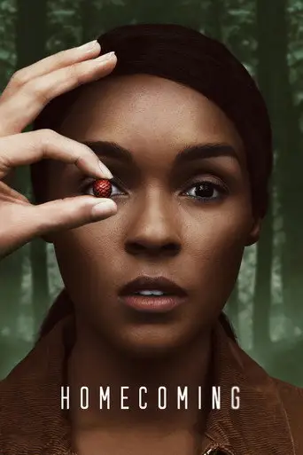 Сериал «Возвращение домой»