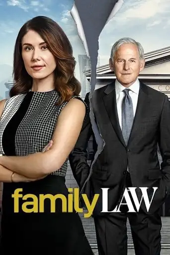 Сериал «Семейная юрфирма»