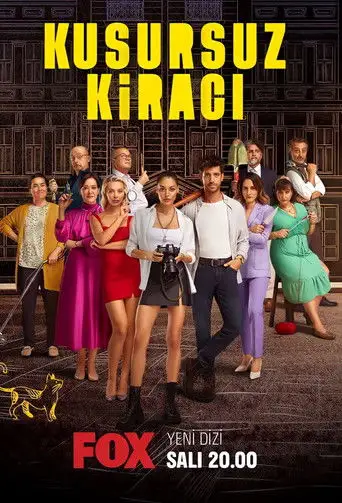 Сериал «Идеальный арендатор»