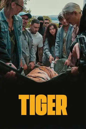 Tigru