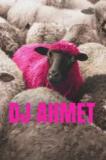 Диджей Ахмет