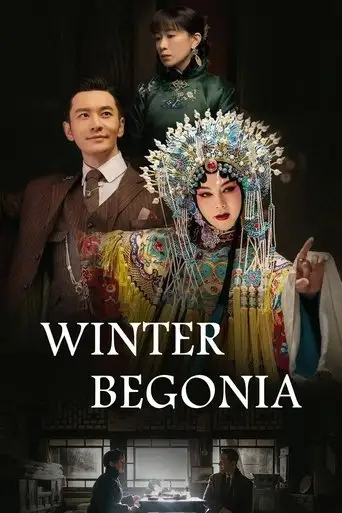 Сериал «Зимняя бегония»