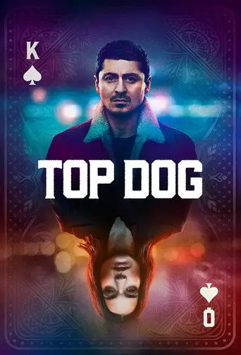 Топ дог