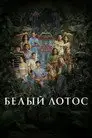 Белый лотос